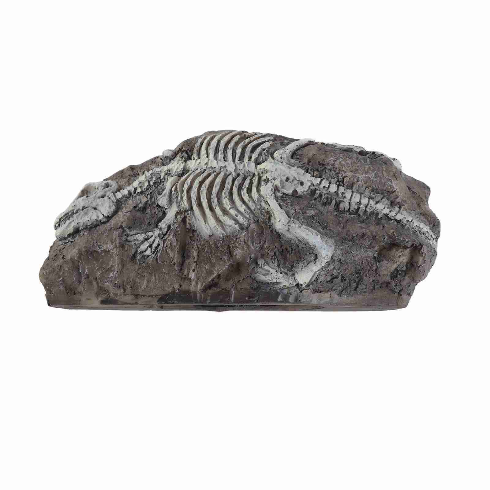 

Aquarium Dinosaur Reliquiae Decoration Reptile Resin Dinosaur Reliquiae Rock Hideout for Fish Tank Aquarium