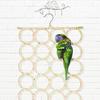 2 Packs Parrot Swing Hanging Toys, Bird Climbing Rope Net Ladders Small Medium Pet Activity Toy Suitable for Parakeet,Cockatiel,Cockatoo,Conure,Mini