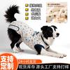 Post-Surgery Recovery Suit Dogs Cats Breathable Elastic Anti-Lick Protective Vest Cotton Belly Wrap Spay Neuter