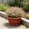 Air Circulation Flower Pot Breathable Thickened Plastic Planter for Bamboo Clivia Drainage Holes Downward Growth Pot for Home Garden Balcony