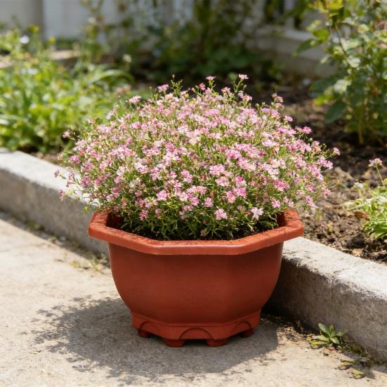 Air Circulation Flower Pot Breathable Thickened Plastic Planter for Bamboo Clivia Drainage Holes Downward Growth Pot for Home Garden Balcony