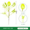 Simulation Green Plant Easter Egg Single Home Wedding Decoration Simulation Spring Single