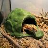 Simulation Rock Reptile Hideout Smooth Edge 3D Printed Cave Hidden Cave Shelter  Turtle Tank