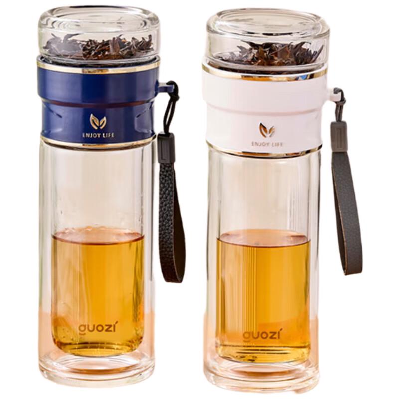 Fruitz GZ-S79 Tea Infuser Bottle