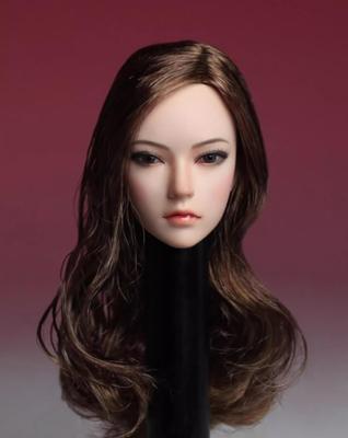 Scale Super Duck Head with Brown Long Compatible with TBLeague Figures and Outfit Not [TOYBARJAPAN] 1/6 SDH002-C Hair, (Body Included)