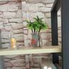 10/20/30/40/50 Pcs Tree Decor Coconut Miniature Plants Palm Trees Crafts Aquarium Fish Tank Decorations