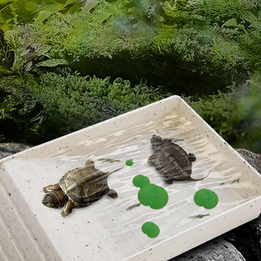Small Pet Turtle Resting Basking Platform with Feeding Dish Reptiles Tortoises Climbing Ladder Plastic Habitat Decors