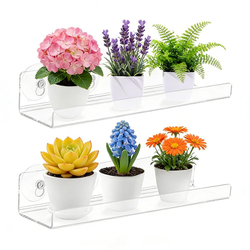 Acrylic Storage Solution Exhibitor Indoor Plant Display Acrylic Plant Shelves Declutter Solutions Easy Installation