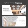 SAST G3 Wireless Bluetooth In-Ceiling Speaker System CN plug (adapter included)