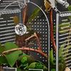 Shatterproof Clear Acrylic Reptiles Terrarium Breeding Box Ventilated Reptiles Cage For Science Experiment And Education