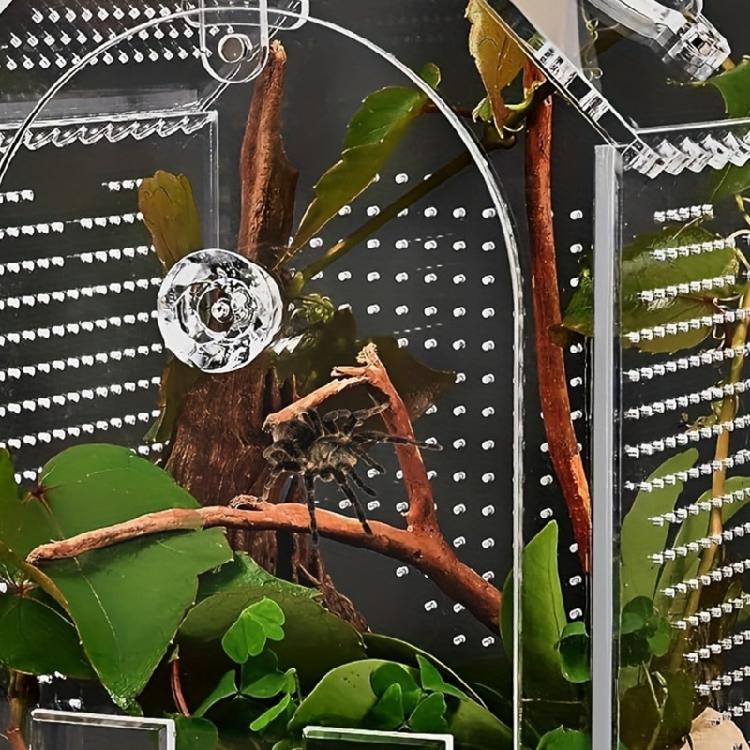 Shatterproof Clear Acrylic Reptiles Terrarium Breeding Box Ventilated Reptiles Cage For Science Experiment And Education