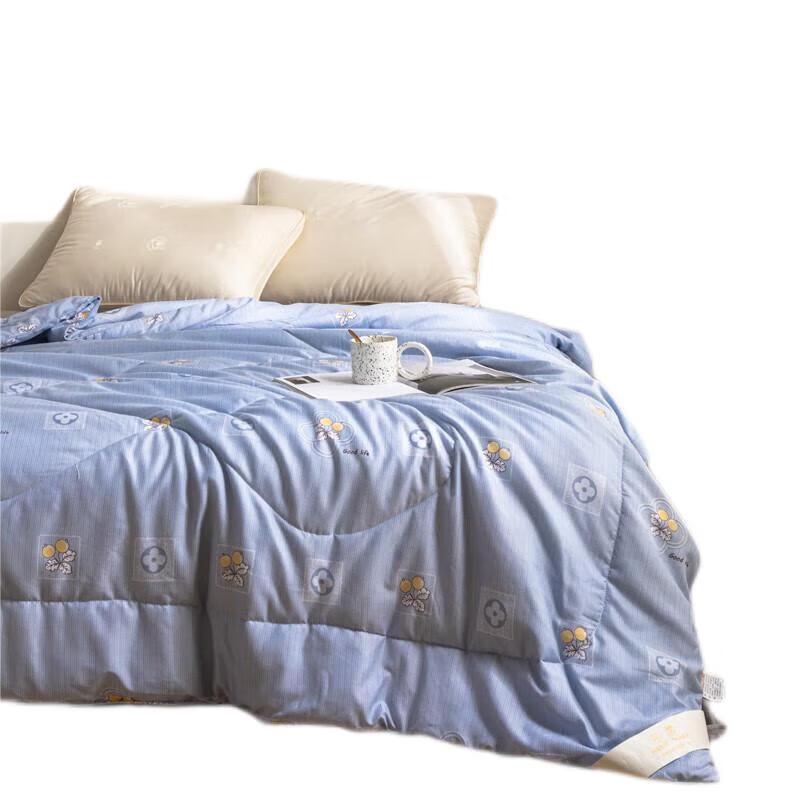 

Pin Fan Boundless Future Mint Silk Duvet