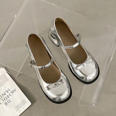 Gentle Silver Thick Heel Mary Jane Shoes Women's 2025 New Summer Light Mouth with Skirt Round Head Single Shoes