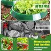 10pcs Garden Snail Collar Guard Plants Slug Protection Rings Flower Pot Cabbage Cover Plant Pest Control Trapper Garden Tools