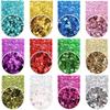 Extra Fine Holographic Glitter Powder for Crafts 24 Colors Nail Body Eye Hair Face Lip Gloss Makeup Single 12 Metallic Mix 1 Pcs