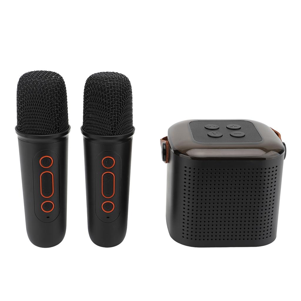 Wireless Karaoke Machine with 2 Microphones Portable BT Karaoke Speaker for Home and Outdoor Party