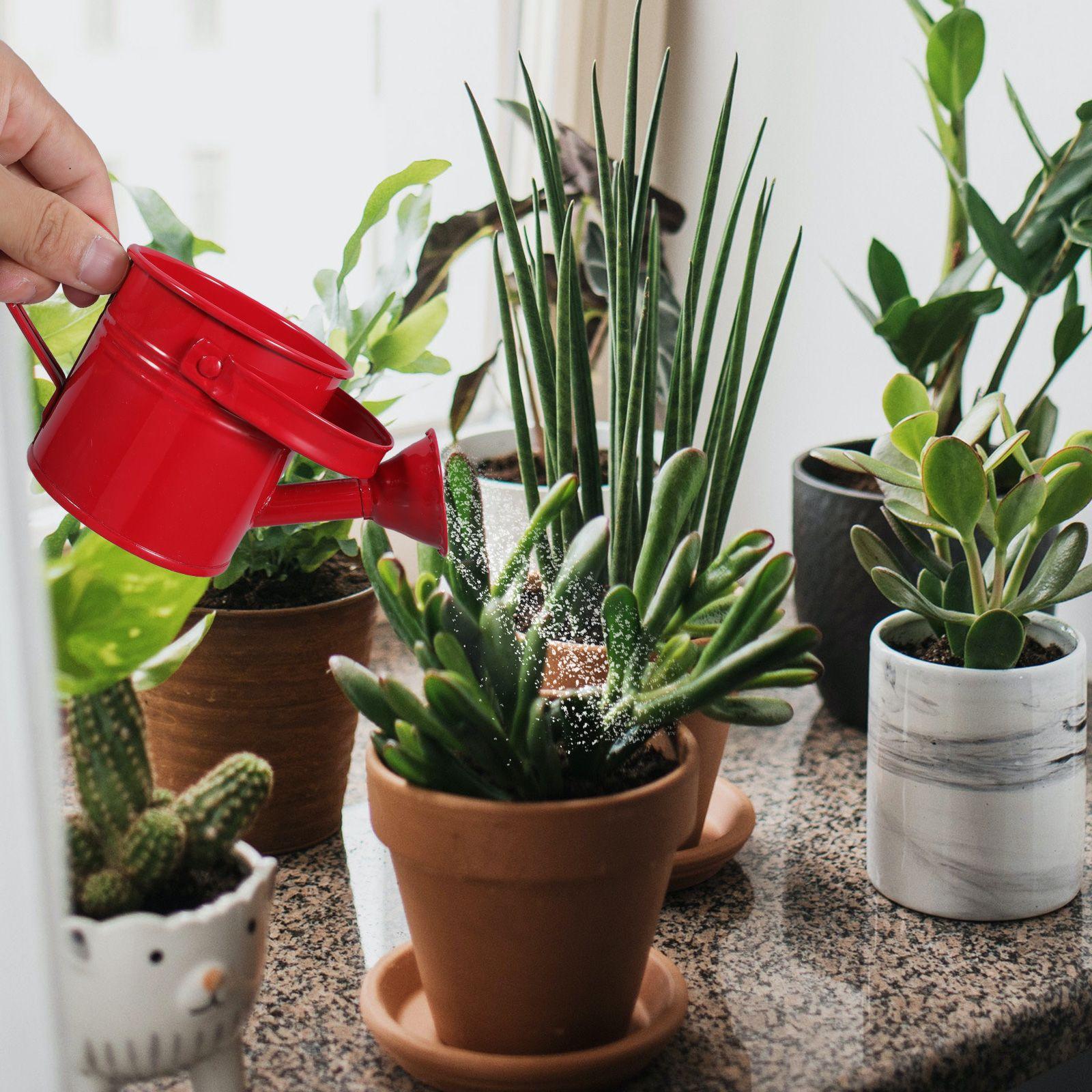 

Железная лейка 2 шт. Большая вместимость Прочная Безопасный Премиальный материал Длинный носик Балконный горшок для растений Инструмент для полива