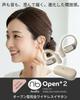 Audio True Wireless Low Latency Call Standards with Logo Pouch (nb) Open+2 Open-Ear Earbuds, Ear-Hook Design, Mode, Mic, Multi-Point Support,