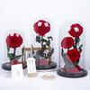 Ewige Blume Sansheng III Rosen-Geschenkbox Glasabdeckung Schmuckstück Muttertag Lehrertag Weihnachtsgeschenk