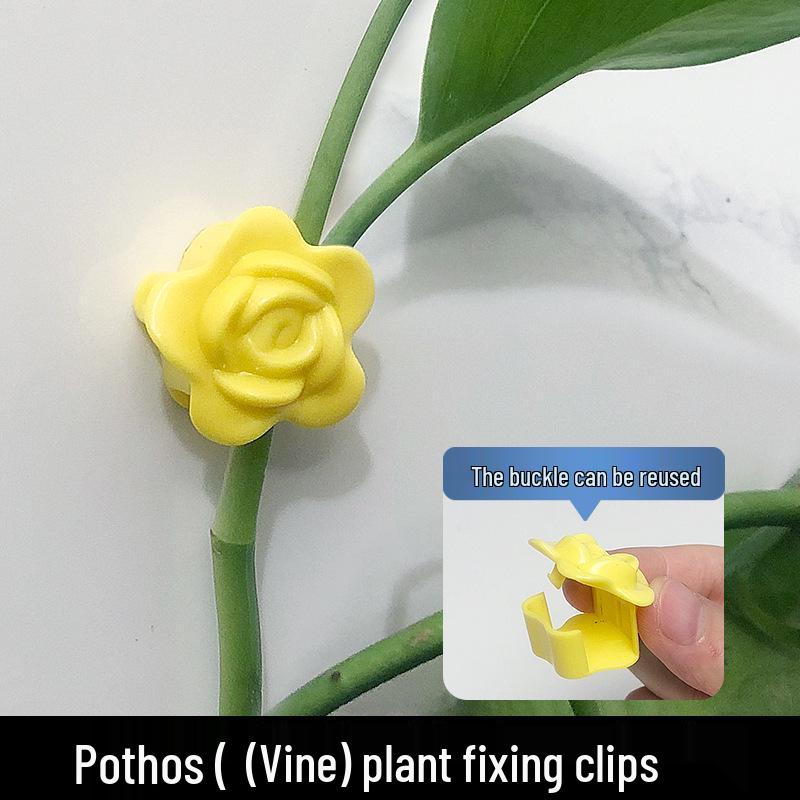 Self-Adhesive Invisible Clips for Wall-Mounting Green Vines and Ivy