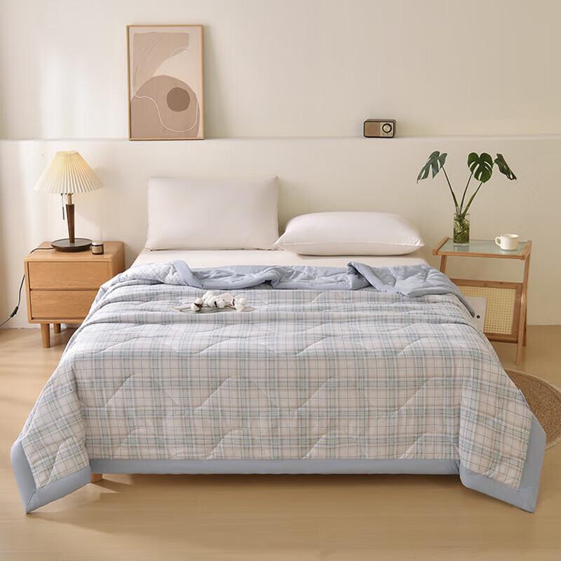 Hongdou Comfortable Four-Season Fiber Quilt