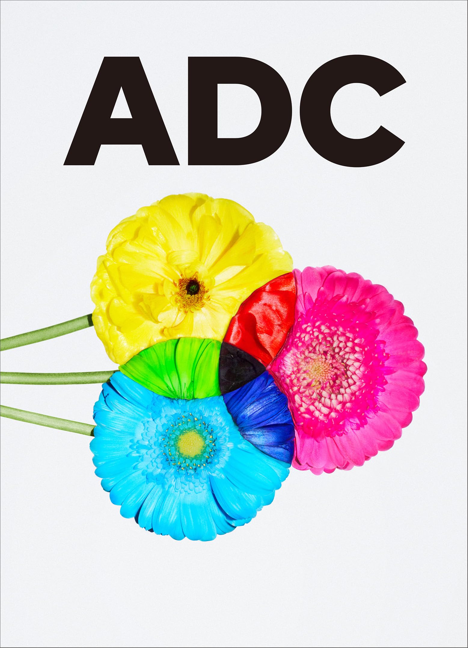 ART DIRECTION JAPAN Japanische Art Direction 2024 /