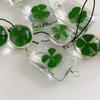 1 Pc Natural Clover Pendant Cross Border Lucky Star Dried Flower Bag Keychain Green Glass Pendant Pendant