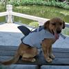 Dog Life Jacket Pet Shark Swimsuit Vest Pet Safety Wear Dog Swimsuit Preserver for Water Safety