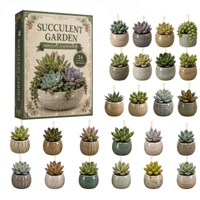 Calendario dell'Avvento Piante Desertiche Mini Succulente Cactus Ciondoli Conto alla Rovescia di Natale Scatola Cieca