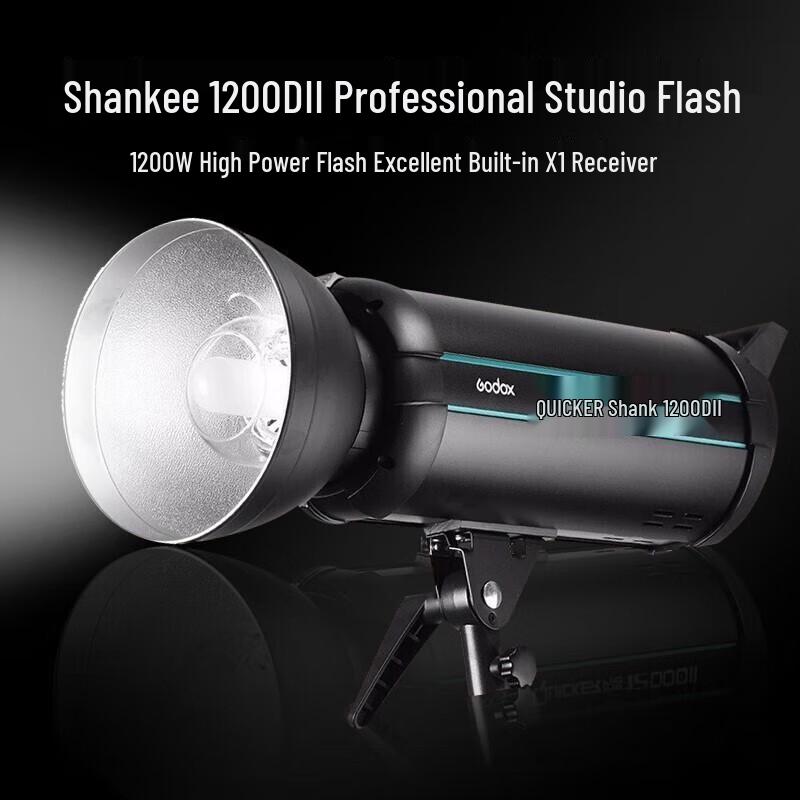 Godox Flashpoint 1200DII Studio Flash Light Kit
