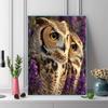 Owl Pattern  3pcs 100% Round Full Drill 5D DIY Diamond Painting Embroidery Cross Stitch Rhinestone Décor