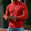 Men's Color Turtleneck Sweater for Casual Everyday Wear