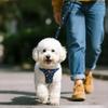 Adjustable Dog Harness Lead Leash Set Breathable Denim Mesh Pet Harness Vest Style Escape Proof Dog Chest Harness Pet