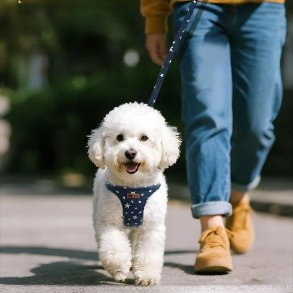 Adjustable Dog Harness Lead Leash Set Breathable Denim Mesh Pet Harness Vest Style Escape Proof Dog Chest Harness Pet