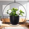 European Wrought Iron Hanging Hydroponic Planter for Spider Plants