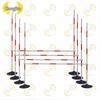 Agility Reaction Training Poles