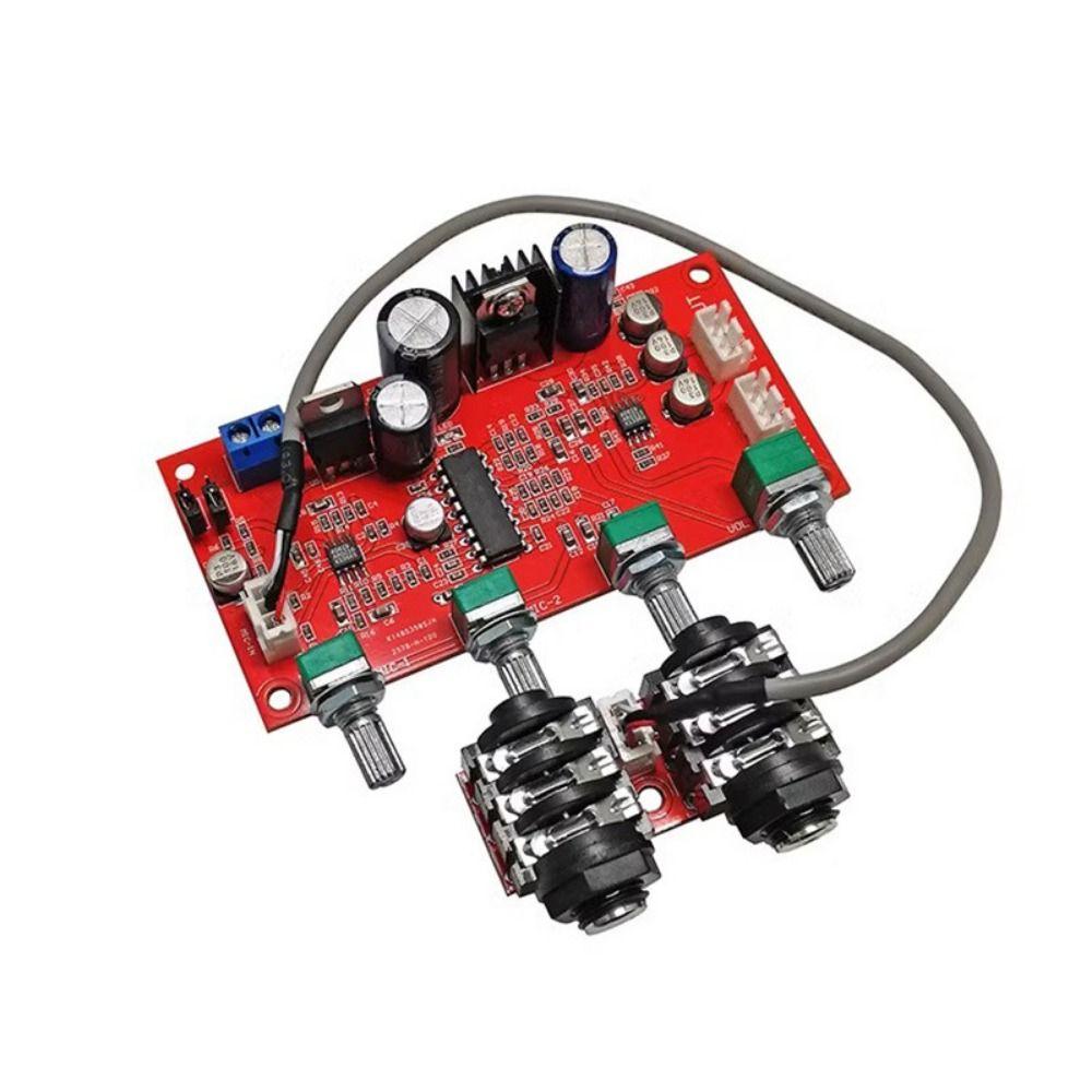Pre-amplification Effect Reverb Board Fixed/Separate HIFI Audio Amplifier Board  Dynamic Microphone