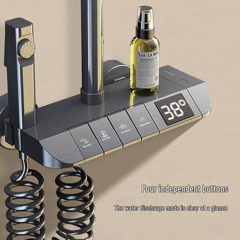 Thermostatic Digital Shower System