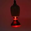 E27 R63 Infrarot Reptilien Glühbirne Tier Haustier Heizlicht Lampe Glühbirne für Schildkröte Schlange 60W