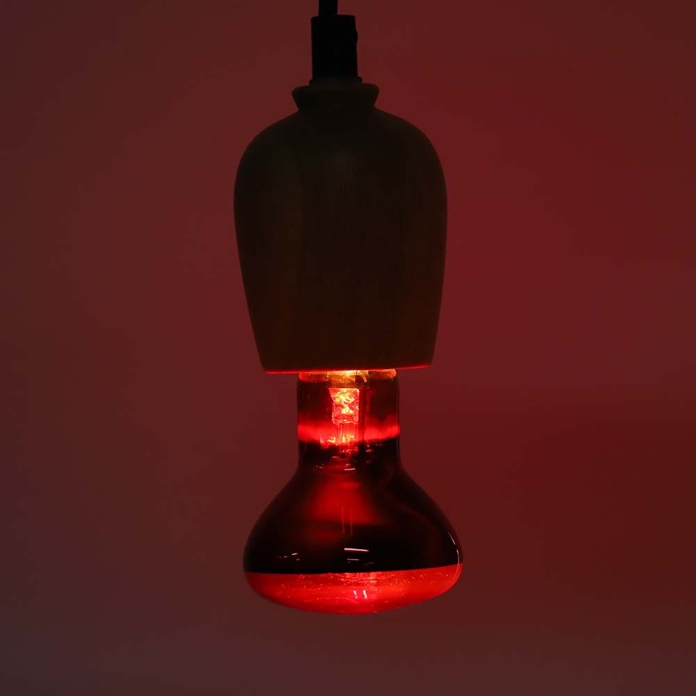 E27 R63 Infrarot Reptilien Glühbirne Tier Haustier Heizlicht Lampe Glühbirne für Schildkröte Schlange 60W