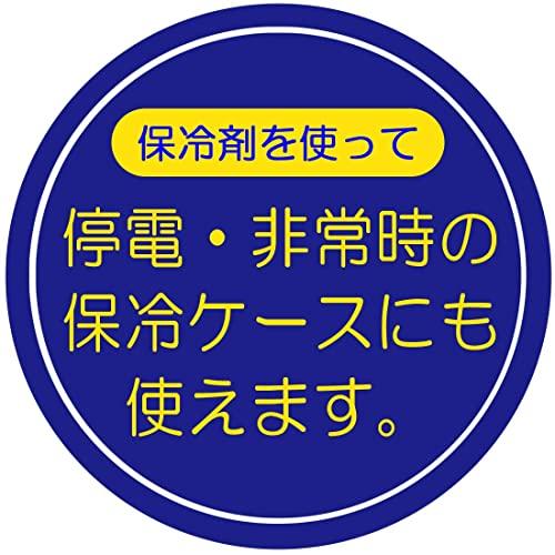 Skater Picnic Bento Box with Insulated Bag and Ice Pack, My Neighbor Totoro with Mei, Made in Japan, Studio Ghibli, 3440ml, KCPC4-A