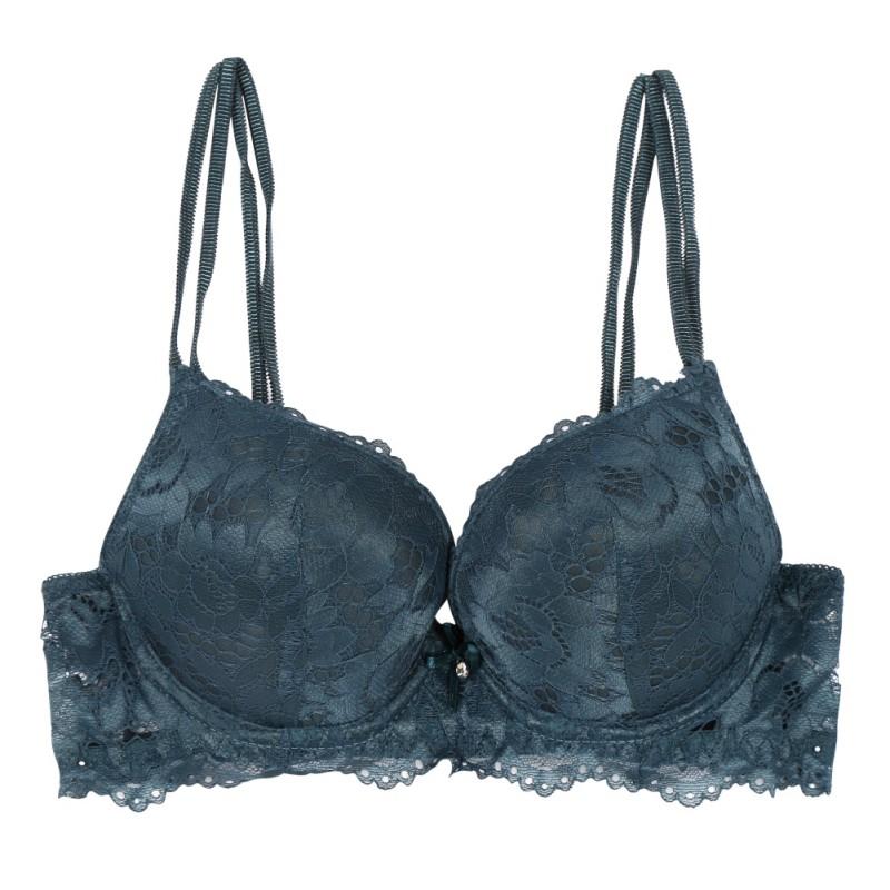 Timeless Classic Floral Embroidery Lace Bra Underwear Sexy Lady Bra Set Plus Size Lingerie Ultrathin Transparent Panties