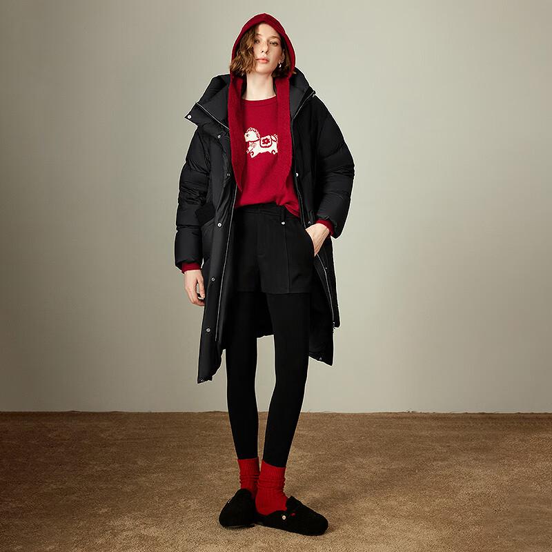 Women's 2025 Winter High-Neck Hooded Long Down Jacket