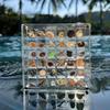 Acryl Quadratische Muschel Aufbewahrungsbox - Transparenter Muschel Vitrine, Mini Strandstein Dekorative Aufbewahrungsrahmen