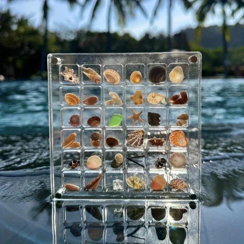 Acryl Quadratische Muschel Aufbewahrungsbox - Transparenter Muschel Vitrine, Mini Strandstein Dekorative Aufbewahrungsrahmen