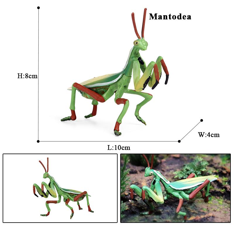 Oenux Wild Insect Animals Model Mantis Grasshopper Butterfly Bee Beetle Action Figures PVC Science Education Collection Kid Toy