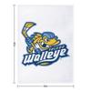 Toledo Walleye Throw Blanket for winter Luxury St Fashion Sofas Furrys Blankets