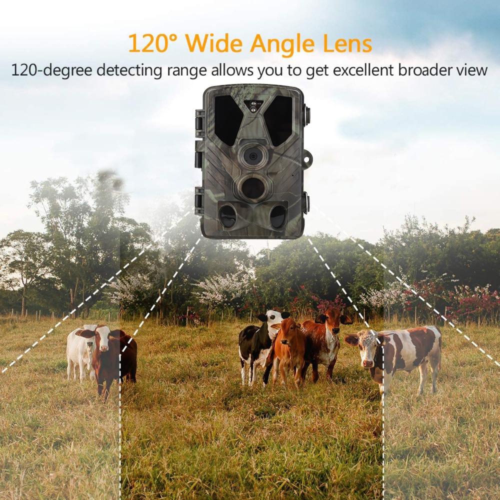 Hc812a Wildlife Observation Camera Wireless Hunting Camera 36mp2.7k Infrared Night Vision Tracking Camera Surveillance Camera