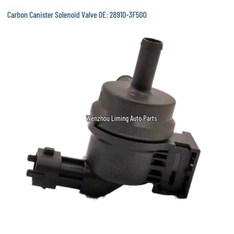 Carbon Canister Control Solenoid Valve for Hyundai/Kia (29010-02150 28910-3F500)
