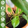 5/6Pcs Plant Stem Support Metal Stem Grapple Holder Reusable Secured Plant Clips For Climbing Plants To Grow Upright Healthier